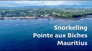 Snorkeling Review  Pointe aux Biches Mauritius [upl. by Nylecoj]