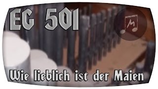 EG 501 Wie lieblich ist der Maien [upl. by Amberly]