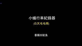 小蟻行車記錄器動力版  白天毛毛雨 [upl. by Paulson]