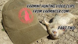 Varmint Hunting Video Clips from Varmintercom  Part Two [upl. by Deirdra]