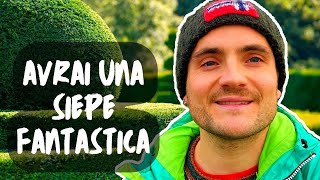 LE 5 DOMANDE PER CHI VUOLE PIANTARE UNA SIEPE 🌿⛏️ CON ESEMPI [upl. by Arondell]