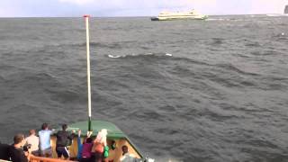 Manly Ferry Crossing Sydney Heads and getting wet [upl. by Dylane]