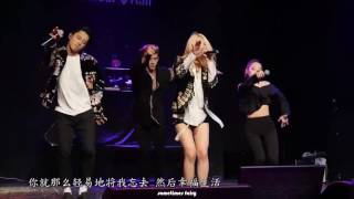 170425 中字 Live Show KARD  RUMOR【WILD KARD PARTY】 [upl. by Ravo]