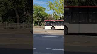 Moers Linie 52 nach Krefeld vrr bus [upl. by Terag]