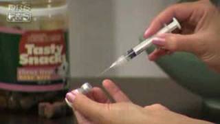 How to Vaccinate Your Dog at Home DrsFosterSmith [upl. by Immij]