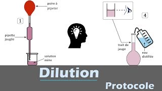 Dilution  🧪 Protocole  chimie [upl. by Orlando]