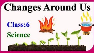 Class 6 Science Changes Around Us Reversible and Irreversible Changes [upl. by Ted]