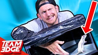 CRAZY WHATS IN THE BOX CHALLENGE ft FaZe Banks [upl. by Eeroc]