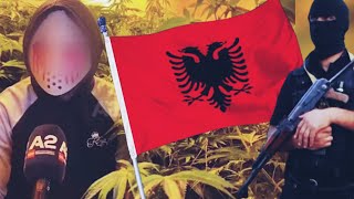 How the Albanian Mafia RUINED the Stardawg Strains [upl. by Gerda]