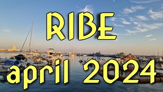 RIBE  Horoskop za APRIL 2024 [upl. by Nepean]