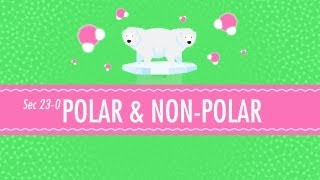 Polar amp NonPolar Molecules Crash Course Chemistry 23 [upl. by Anoval]