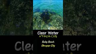 Clear Water as Crystal in Baloy Beach Olongapo City travel beach [upl. by Euhsoj391]