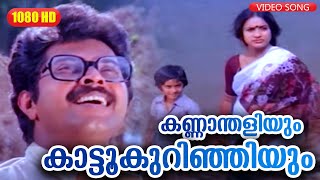 കണ്ണാന്തളിയും കാട്ടൂകുറിഞ്ഞിയും  Anubandham  Malayalam Film Song  Mammootty [upl. by Jamaal]