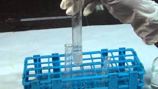 Chemical Tests for Carbonate  MeitY OLabs [upl. by Keelin938]