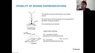 Workshop on Continual Learning  CVPR 2020  Subutai Ahmad [upl. by Nick]