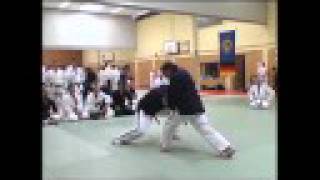 Kobudo Lehrgang  JuJutsu [upl. by Mary]