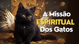 A Missão Espiritual dos Gatos  Qual a Missão do seu Gato com Você [upl. by Aceissej]