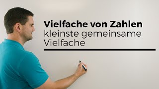 Vielfache von Zahlen und kgV kleinste gemeinsame Vielfache  Mathe by Daniel Jung [upl. by Emiolhs62]