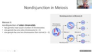 hbio6i nondisjunction 15 min [upl. by Edric]