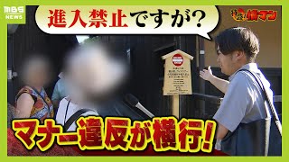 【祇園のマナー違反】罰金１万円『私道に進入禁止』の看板それでも立ち入る外国人観光客の姿 さらにツアーガイドまで「看板見ていなかった」【怒り】【ＭＢＳニュース特集】（2024年5月30日） [upl. by Nairbo123]