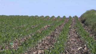 Soybean Planting 734 Air Date 42912 [upl. by Reppep]