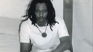 FBI Say’s Alpo hitman Wayne Perry had a boyfriend amp was idolized by DC gangsters like Sean Branch [upl. by Aicenet147]