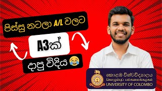 මම AL වලට A3ක් දාපු හැටි 😂❤️ University Of Colombo Student Story [upl. by Calva]