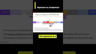 Gene Expression in operons Repressor vs Corepressor [upl. by Norah]