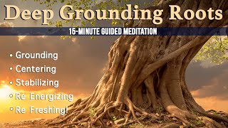 Deep Grounding Roots 15Minute Guided Meditation [upl. by Azial]