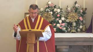 Gaudete Sunday Third Sunday of Advent SSPX Sermon 2022  St Thomas Aquinas Seminary [upl. by Ial]