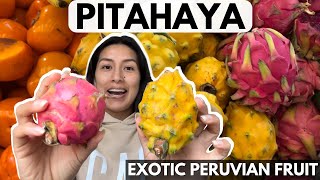 Pitahaya Paradise Exploring the Vibrant World of Peruvian Dragon Fruit [upl. by Wye]