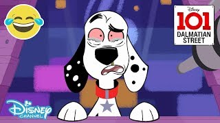 101 Dalmatian Street  Dylan What Have You Done 🔥 Disney Channel UK [upl. by Aenil]