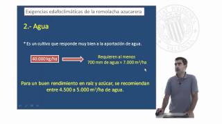 La remolacha azucarera Exigencias edafoclimáticas   UPV [upl. by Ailahtan]