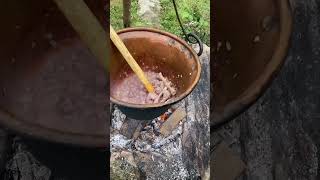 Cooking venison the Austrian style West Styria 💚🇦🇹🏔️ Reh kochen am Berg mit Rotwein🍷 venison [upl. by Hareenum510]