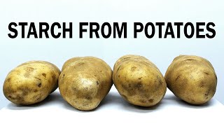 Extracting the starch from potatoes [upl. by Carli]