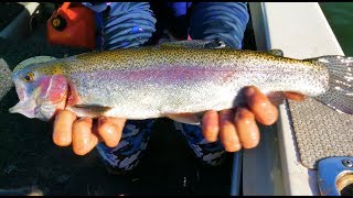 Waroona Trout in 4K Ultra HD with Nick Hocking  Pt4 [upl. by Auqenes]