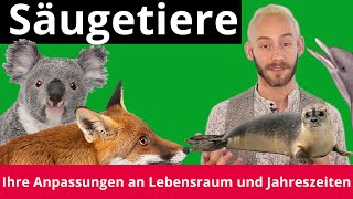 Säugetiere Anpassung an Lebensraum und Jahreszeit – Biologie  Duden Learnattack [upl. by Qiratla]