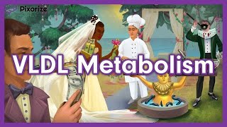 Lipid Metabolism and Lipid Transport USMLE Mnemonic VLDL IDL and LDL [upl. by Reidid818]