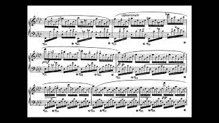 Chopin  Etude Op25 No1 Piano Sheet Music [upl. by Ateiluj]