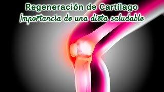 Regeneracion de cartilago importancia de una dieta saludable [upl. by Yrelav]