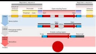 RequestHealth Information Management Isnt a Real Degree [upl. by Balbinder]