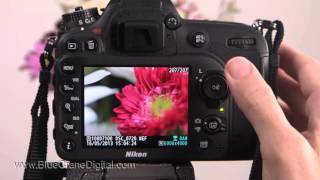 D7200 Overview Training Tutorial also for Nikon D7100 [upl. by Dabbs]