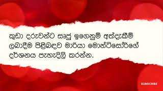 The Montessori method of education  මරියා මොන්ටිසෝරි ගේ දර්ශනය [upl. by Ecnav812]