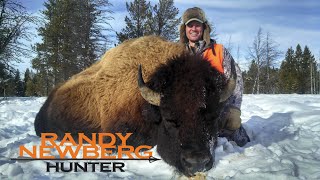 Hunting Montana Buffalo with Randy Newberg  Free Range Bison FT S1 E9 [upl. by Wenda]