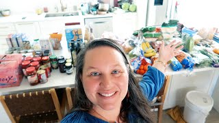 Large Family HUGE ALDI GROCERY HAUL How I Build Up My Pantry [upl. by Eeleimaj825]