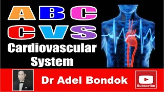 ABC of CVS Cardiovascular System Dr Adel Bondok Making Anatomy Simple [upl. by Serafine]