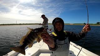 SPOTTED BAY BASS FISHING  PK3 EDIT  KICKER FISHING [upl. by Bayard]