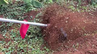 Honda UMK435T Brush cutter on Attachment of Mini Tiller flat blade type From Skylight Power [upl. by Reuben346]