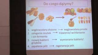 Dieta specyficznych węglowodanów  Paulina Majkutewicz [upl. by Marijane]