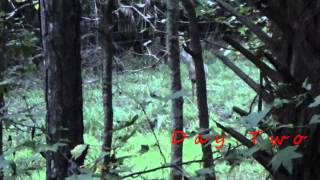 WhiteTail Deer with a Muzzleloading Pistol Central Florida [upl. by Malkin133]